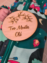 Load image into Gallery viewer, Baby Milestone Cards