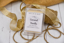 Load image into Gallery viewer, Melts